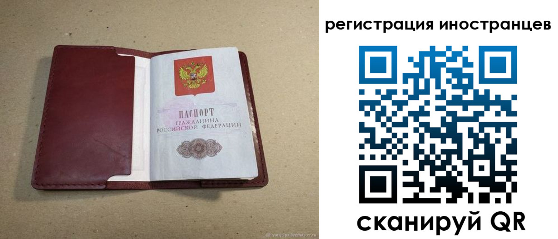 регистрация для школы в Владимирской области